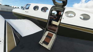 Flysimware 414AW D-ICOM with luxury interior thumbnail 8