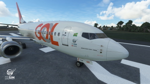 GOL Transportes Aéreos LIVERY PMDG Boeing 737-700 thumbnail 16