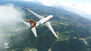 GOL Transportes Aéreos LIVERY PMDG Boeing 737-700 thumbnail 5