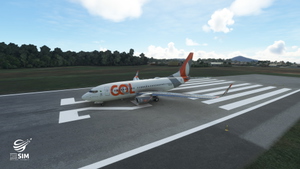 GOL Transportes Aéreos LIVERY PMDG Boeing 737-700 thumbnail 14
