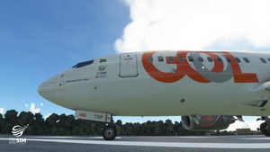 GOL Transportes Aéreos LIVERY PMDG Boeing 737-700 thumbnail 15
