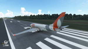GOL Transportes Aéreos LIVERY PMDG Boeing 737-700 thumbnail 13