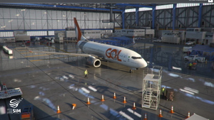 GOL Transportes Aéreos LIVERY PMDG Boeing 737-700 thumbnail 2