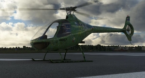 Green Forest Cabri G2 for HCG's Cabri G2 thumbnail 10