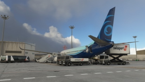 Ground-Service-PMDG-aircraft-737-Swissport thumbnail 5