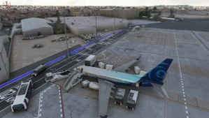 Ground-Service-PMDG-aircraft-737-Swissport thumbnail 8