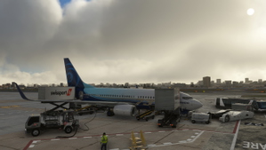 Ground-Service-PMDG-aircraft-737-Swissport thumbnail 3