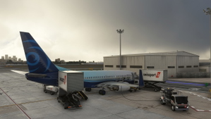 Ground-Service-PMDG-aircraft-737-Swissport thumbnail 6