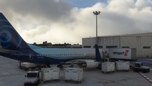 Ground-Service-PMDG-aircraft-737-Swissport thumbnail 7