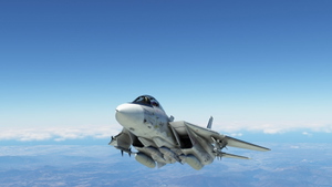 Grumman F-14A Tomcat Derpybolt Eddition thumbnail 9