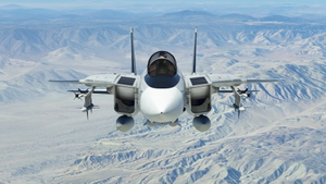Grumman F-14A Tomcat Derpybolt Eddition thumbnail 8