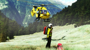 H145 - BABCOCK ITALY HEMS - PACK [HEMS/OFSH] thumbnail 3