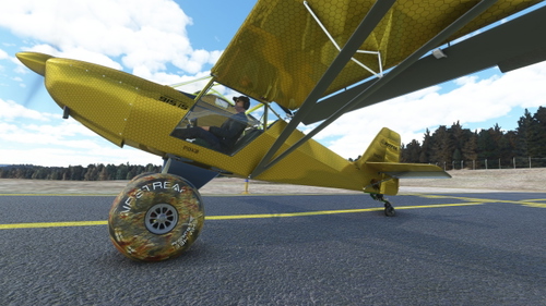 HoneyBee livery for the Fox2