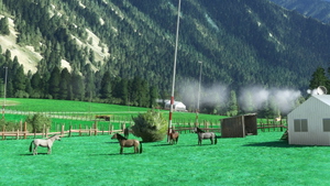 [Idaho Airstrip]Hettinger(South Fork) Ranch thumbnail 8