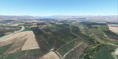 Israel VFR - Vegetation