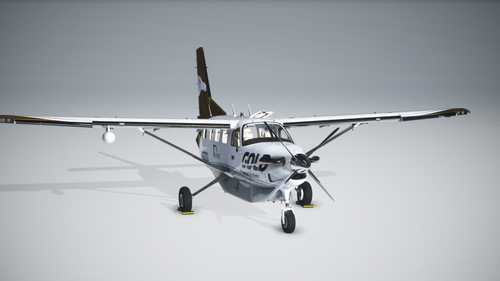 Kodiak 100 - Gold Virtual Airlines 10 Years