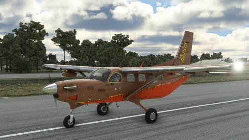 Kodiak 100 Hershey Reese's Livery