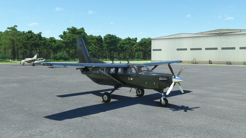 Kodiak 100 Topographical Livery