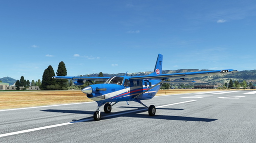 Kodiak STP