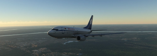 Livery Belavia(OLD) for PMDG 737-600