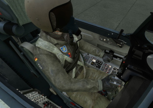Mig-29 German Airforce Megapack (29+01 - 29+21) for the Deimos Inc Mig29 thumbnail 5