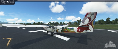 Nature Air | TI-BBQ & TI-BBF | Aerosoft DeHavilland DHC6-300 PAX (8K)