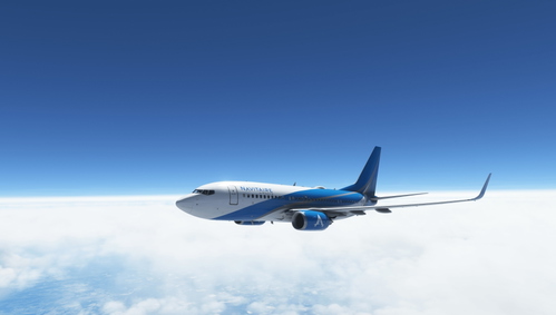 NGS Virtual Airways | PMDG 737-700BW N002GN