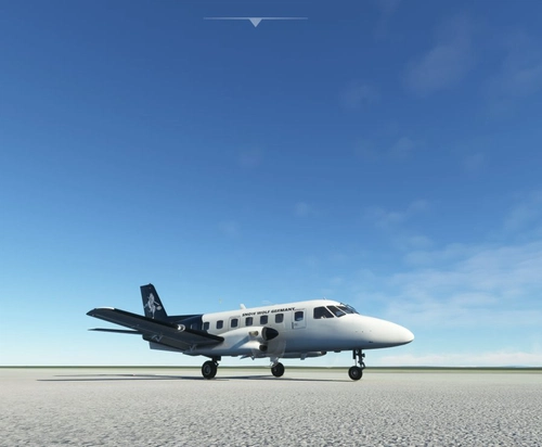 nextgensim-aircraft-bandeirant SWG