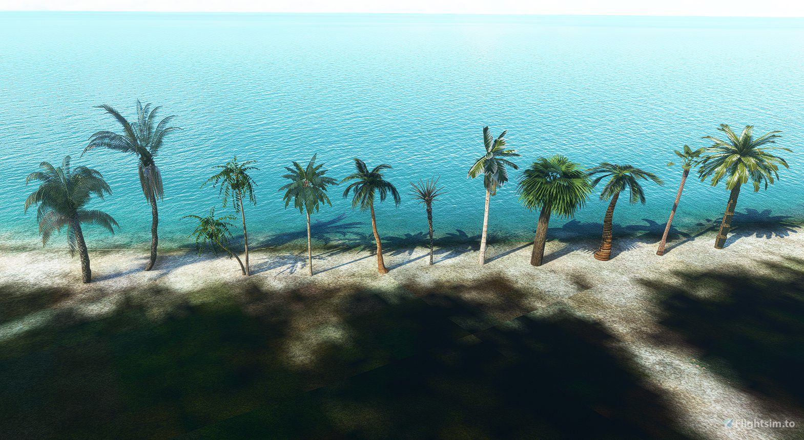 Palm Tree Library for Microsoft Flight Simulator | MSFS