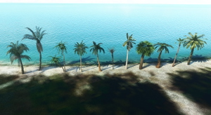 Palm Tree Library thumbnail 1