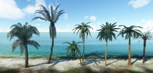 Palm Tree Library thumbnail 2