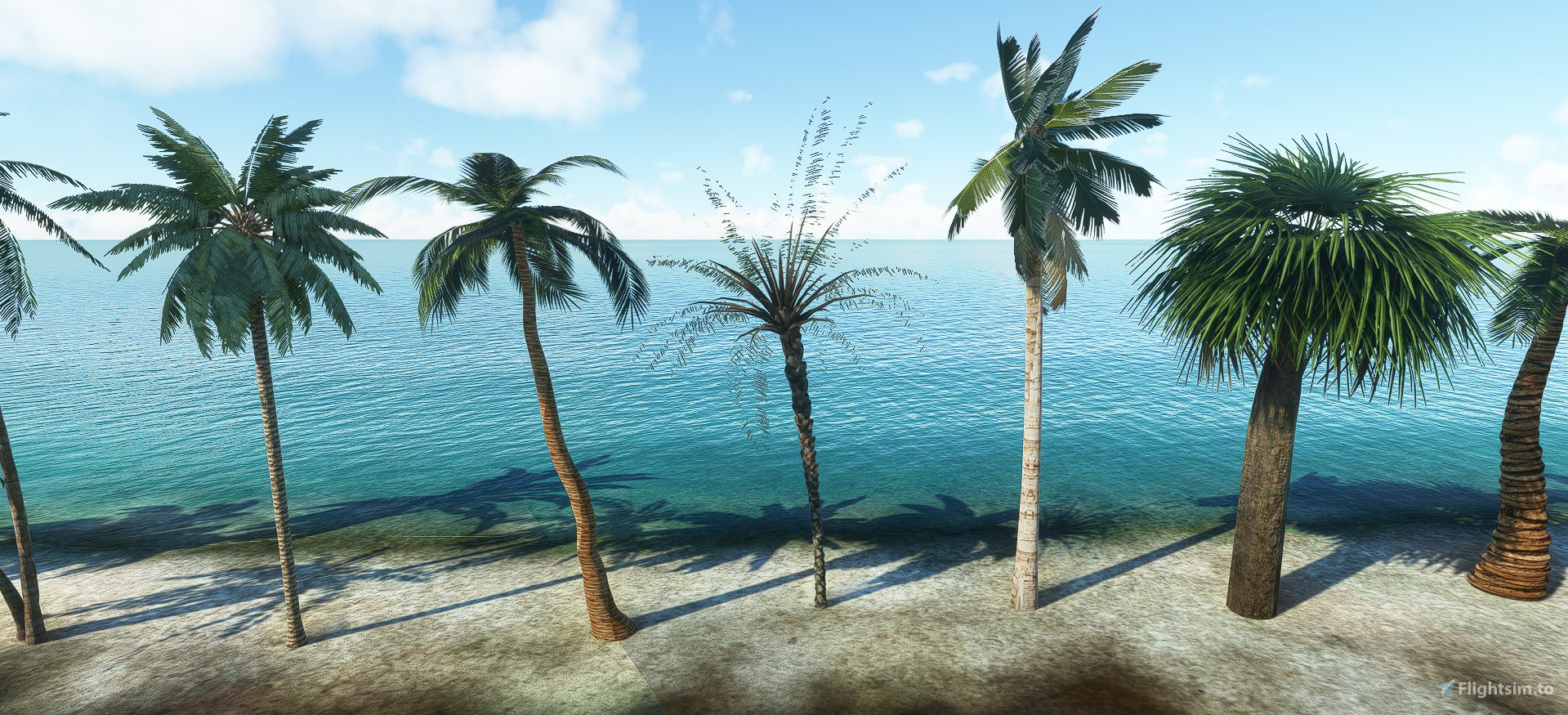 Palm Tree Library for Microsoft Flight Simulator | MSFS