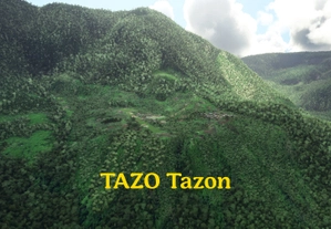 12 Papua New Guinea airstrips thumbnail 4