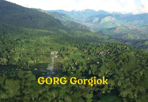 12 Papua New Guinea airstrips thumbnail 11