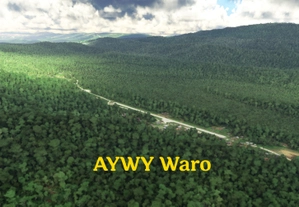 12 Papua New Guinea airstrips thumbnail 9
