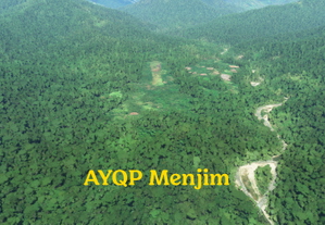 12 Papua New Guinea airstrips thumbnail 7