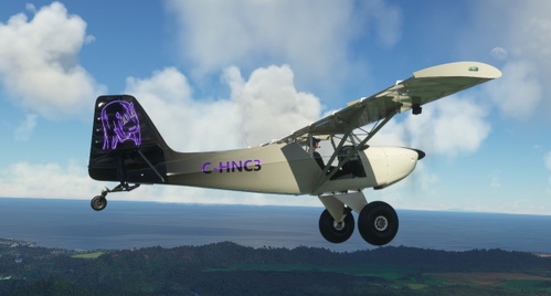 Parallel 42's FOX2 'C-HNC3' Livery. For my friend, Chance.