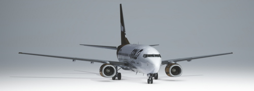 PMDG 737-600 - Gold Virtual Airlines - 10 Years