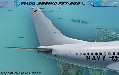 PMDG 737-600 USN VP30 P8 (555 - 2019)