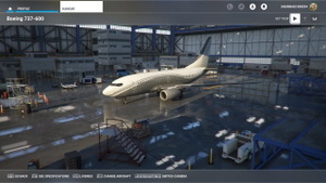 PMDG 737-600 VIP Fleet thumbnail 8