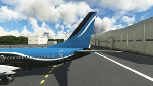 PMDG 737-600 VIP Fleet thumbnail 4