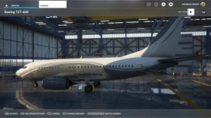 PMDG 737-600 VIP Fleet thumbnail 9