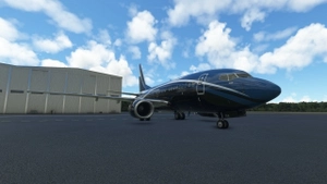 PMDG 737-600 VIP Fleet thumbnail 6