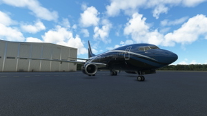 PMDG 737-600 VIP Fleet thumbnail 7