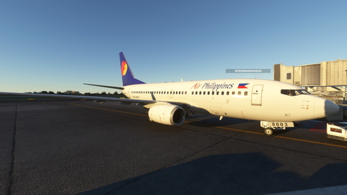 PMDG 737-700 Air Philippines (Fictional)