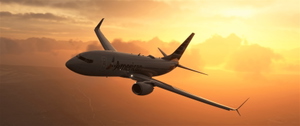 PMDG 737-700 | American Airlines | Clean | Blended + Scimitar Winglets thumbnail 12