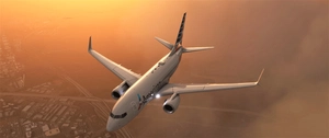 PMDG 737-700 | American Airlines | Weathered| Blended + Scimitar Winglets thumbnail 11