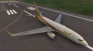PMDG 737-700 ANA All Nippon Gold (JA01AN - 2011) thumbnail 3