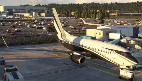 PMDG 737-700 BBJ [4K] - (N301SR)