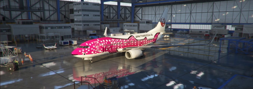 PMDG 737-700 BW JAL Jinbei pink livery
